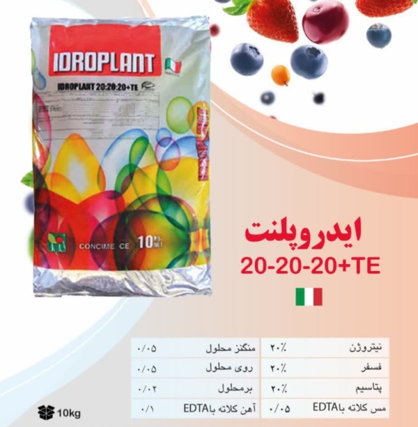 کودسه بیست ایدروپلنت ایتالیا