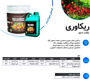 کودریکاوری