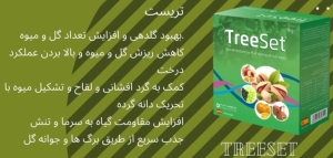 کود فروت ست تری ست فیوچراکو
