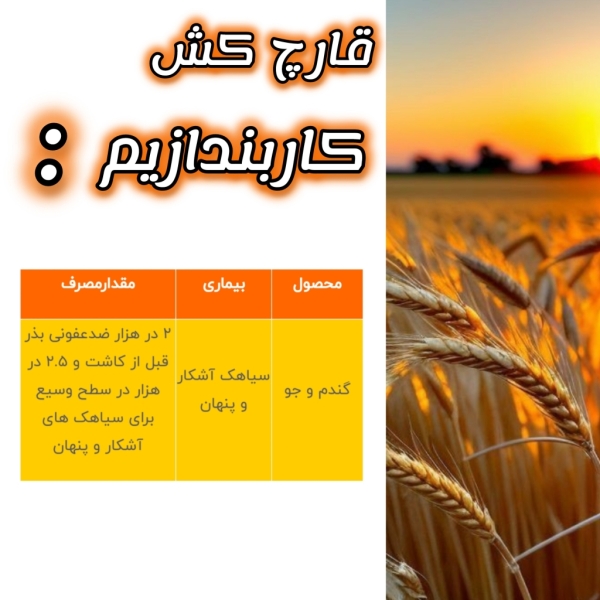 قارچ کش