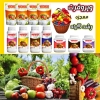 محصولات وپروفرت هلند