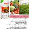 کود20-20-20 سه بیست وپروفرت هلند
