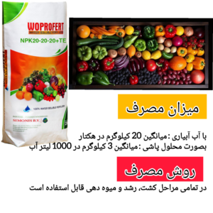 کود20-20-20 سه بیست وپروفرت هلند
