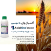 سم آکسیال