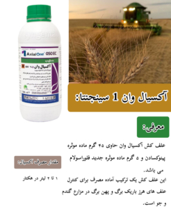 آکسیال