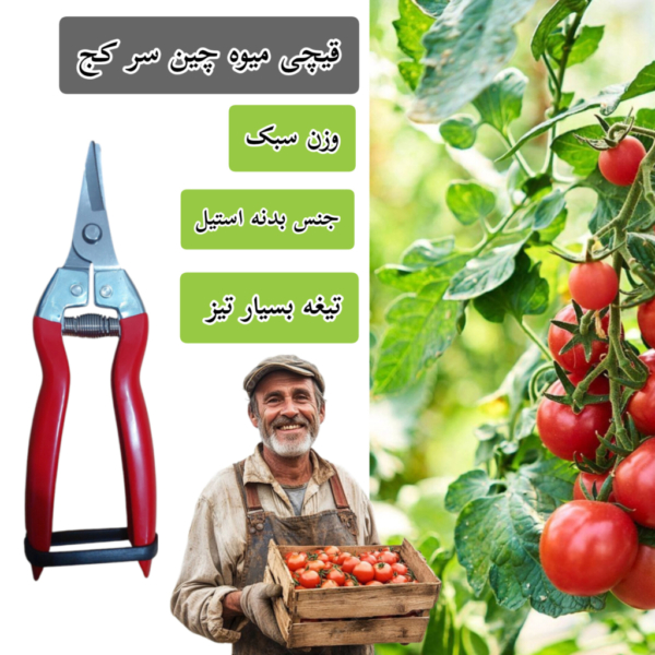 قیچی میوه چین