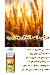علفکش ویکیلیس