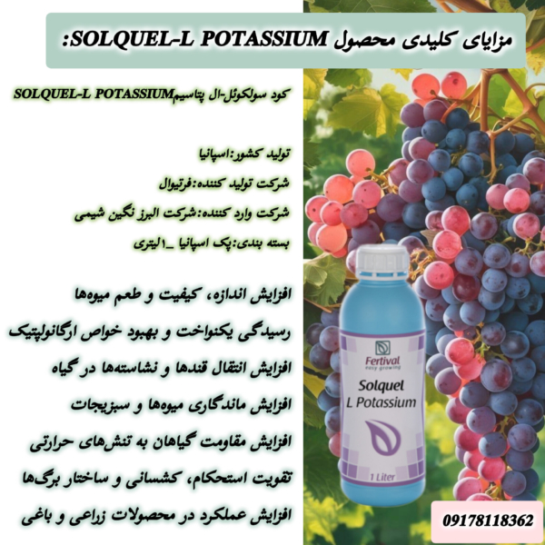 فرتیوال