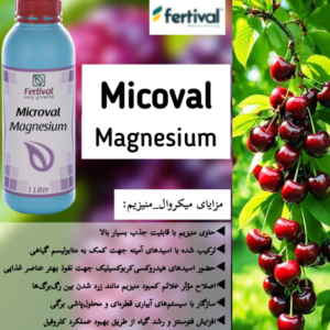 میکروال منیزیم