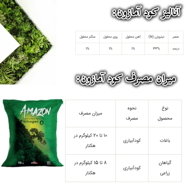 کودآمازون