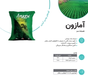 کودآمازون