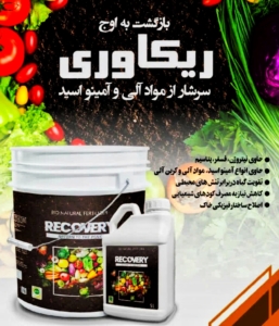 ریکاوری