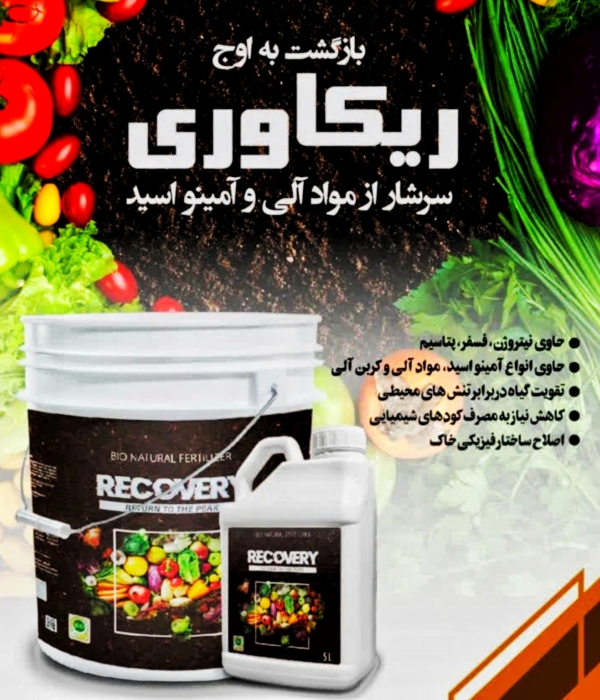 ریکاوری