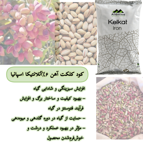 کود آهن