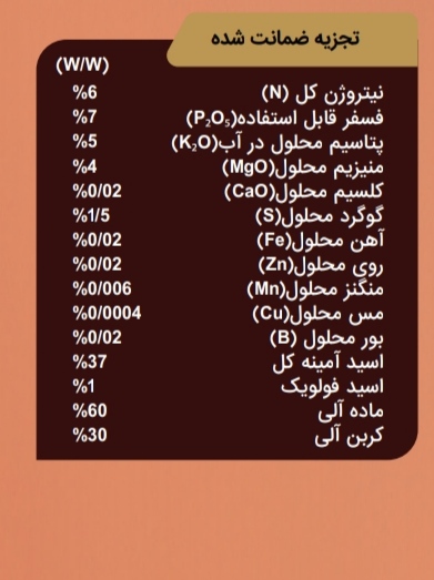 مونتی گل