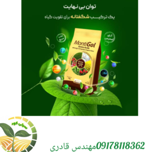 کود آمینو اسید مونتی گل گرونبرگ 1کیلویی